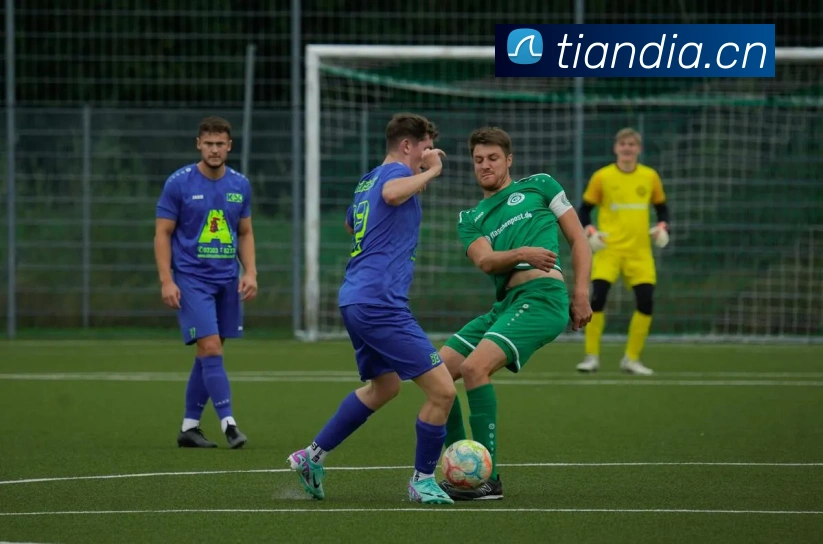 开云官方手机版平台生态图